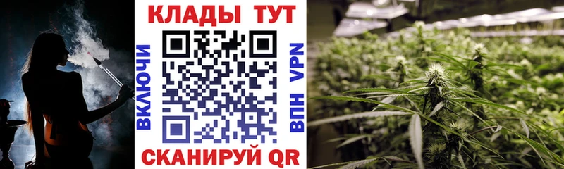 Названия наркотиков Бакал Амфетамин  Бошки Шишки  A PVP  Мефедрон  НБОМе  ГАШИШ 