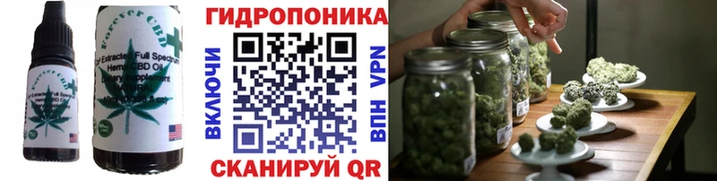 omg зеркало  наркотики  Бакал  Еда ТГК конопля 