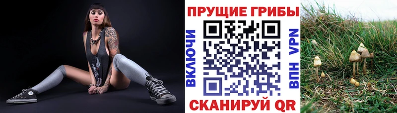 Галлюциногенные грибы мицелий Бакал