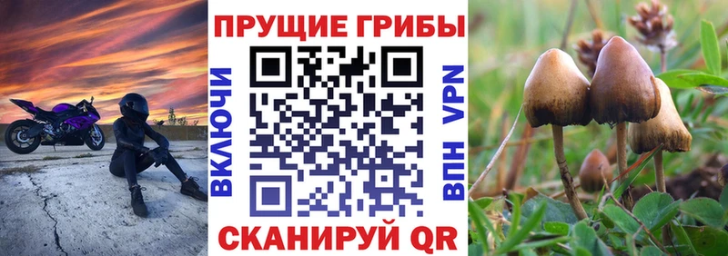 Галлюциногенные грибы прущие грибы Бакал