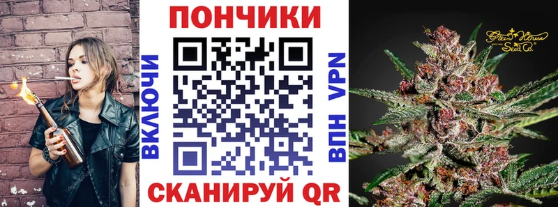 наркотики  Бакал  Конопля OG Kush 
